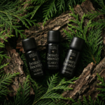 Gemini Generated Image osy3yuosy3yuosy3